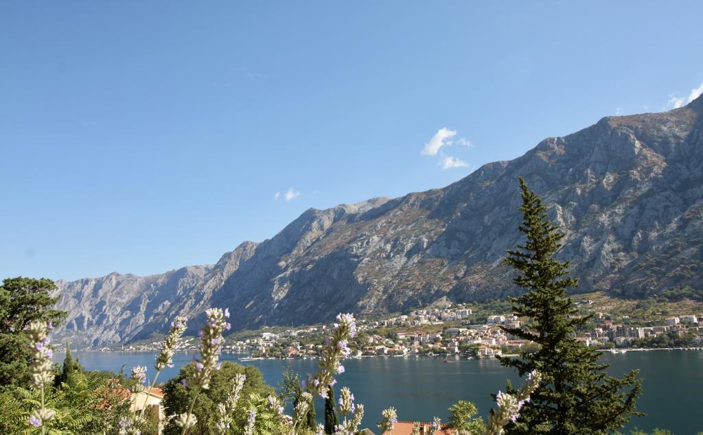 Villa Mima Kotor Bagian luar foto